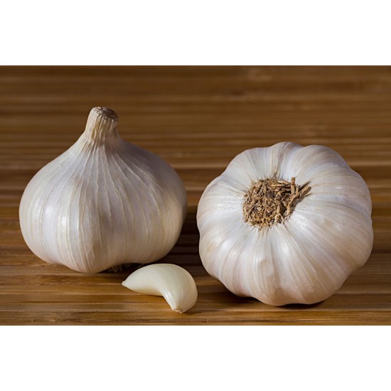 Mexican Chipotle Sausage (12 pack case)